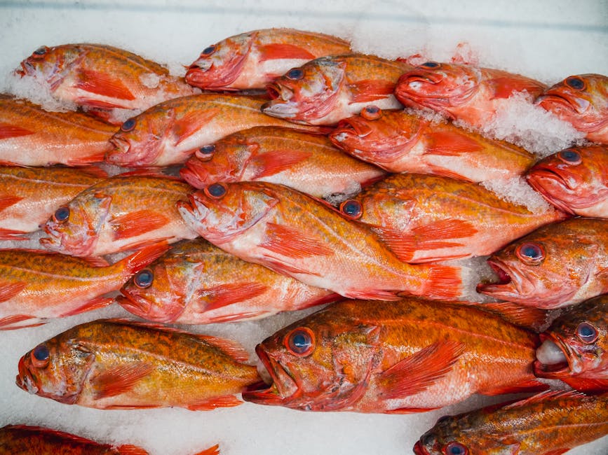 How to Choose the Freshest Fish at Your Local Fishmonger